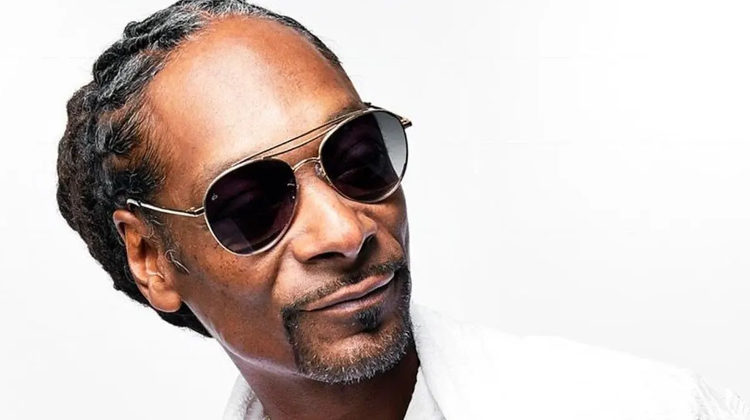 Snoop Dogg: Snoop Dogg Presents Algorithm - Review - Vinyl Chapters